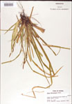 000010761-thumbnail.jpg