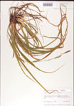 000010762-thumbnail.jpg