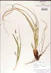 000010763-thumbnail.jpg