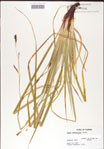 000010765-thumbnail.jpg