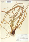 000010766-thumbnail.jpg