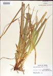 000010767-thumbnail.jpg