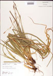000010768-thumbnail.jpg