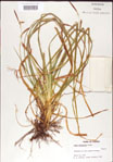 000010769-thumbnail.jpg