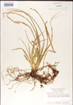 000010770-thumbnail.jpg