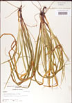 000010771-thumbnail.jpg