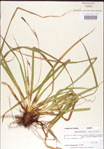 000010772-thumbnail.jpg