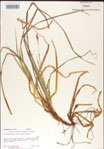 000010773-thumbnail.jpg
