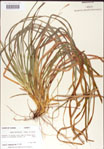 000010774-thumbnail.jpg
