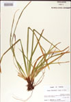 000010775-thumbnail.jpg