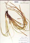 000010776-thumbnail.jpg