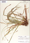 000010777-thumbnail.jpg