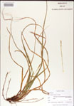 000010778-thumbnail.jpg