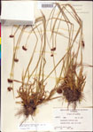 000011156-thumbnail.jpg