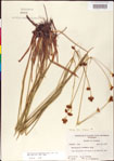 000011159-thumbnail.jpg