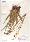 000011160-thumbnail.jpg