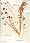 000011162-thumbnail.jpg