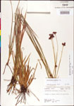 000011164-thumbnail.jpg