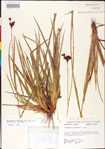 000011166-thumbnail.jpg