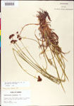 000011167-thumbnail.jpg