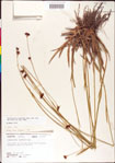 000011168-thumbnail.jpg
