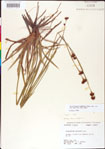 000011169-thumbnail.jpg