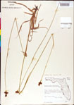 000011170-thumbnail.jpg