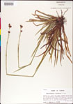 000011172-thumbnail.jpg