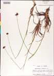 000011173-thumbnail.jpg