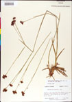 000011174-thumbnail.jpg