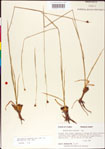 000011175-thumbnail.jpg