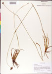 000011178-thumbnail.jpg
