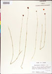 000011179-thumbnail.jpg