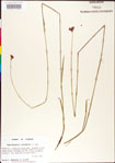 000011180-thumbnail.jpg