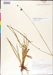 000011182-thumbnail.jpg