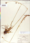 000011183-thumbnail.jpg