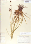 000011184-thumbnail.jpg