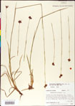000011185-thumbnail.jpg