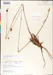 000011187-thumbnail.jpg