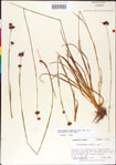 000011188-thumbnail.jpg