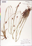000011189-thumbnail.jpg