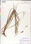 000011201-thumbnail.jpg