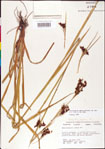 000011203-thumbnail.jpg