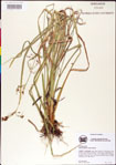 000011204-thumbnail.jpg