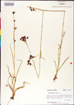 000011206-thumbnail.jpg