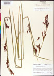 000011207-thumbnail.jpg