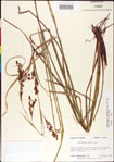 000011208-thumbnail.jpg