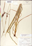000011210-thumbnail.jpg