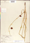 000011211-thumbnail.jpg