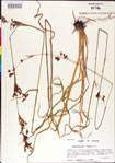 000011214-thumbnail.jpg